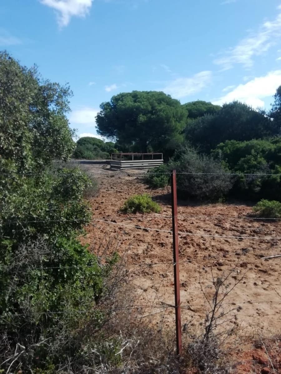 Byggetomt til salgs i Vejer de la Frontera - € 225 000 (Ref: 6298282)