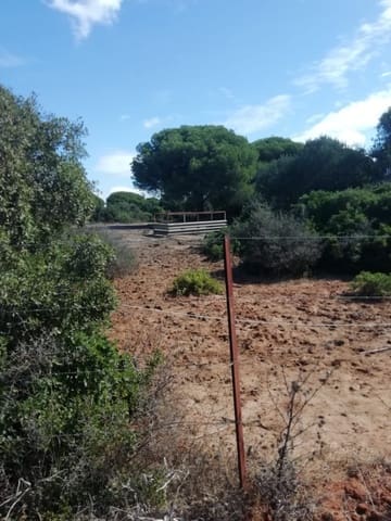 Bouwgrond te koop in Vejer de la Frontera - € 225.000 (Ref: 6298282)