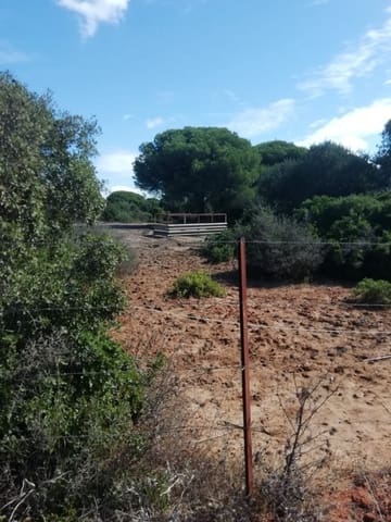 Bouwgrond te koop in Vejer de la Frontera - € 225.000 (Ref: 6298282)