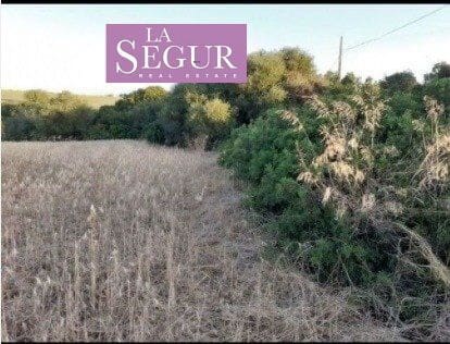 Ubebygd land til salgs i Conil de la Frontera - € 150 000 (Ref: 6326503)
