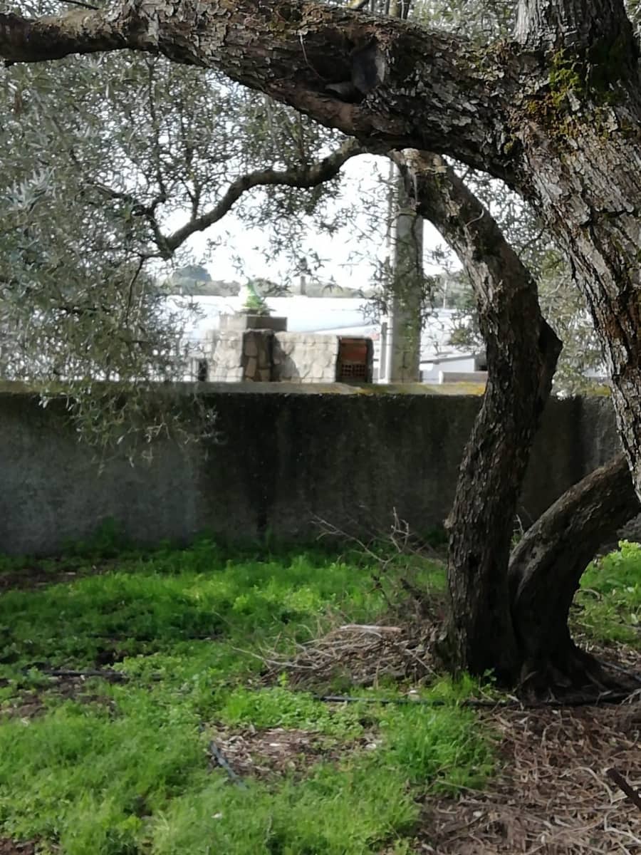 3 makuuhuone Maalaistalo myytävänä paikassa Vejer de la Frontera - 150 000 € (Ref: 6530638)