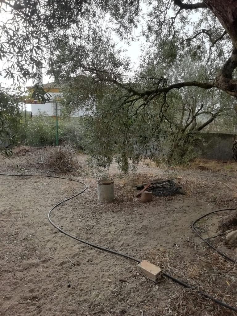 3 makuuhuone Maalaistalo myytävänä paikassa Vejer de la Frontera - 150 000 € (Ref: 6530638)