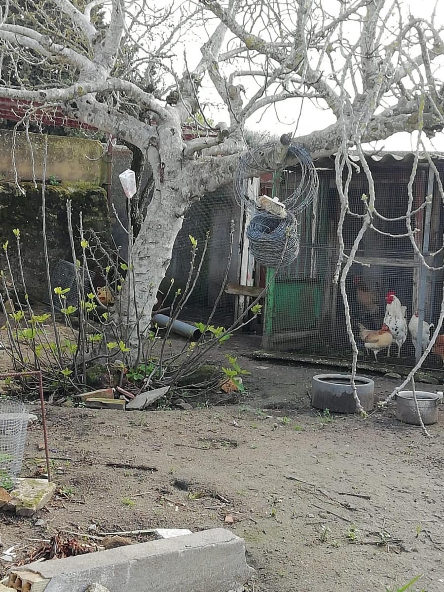 3 makuuhuone Maalaistalo myytävänä paikassa Vejer de la Frontera - 150 000 € (Ref: 6530638)