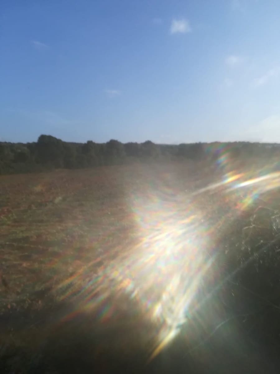 Mark till salu i Vejer de la Frontera - 85 000 € (Ref: 6609201)