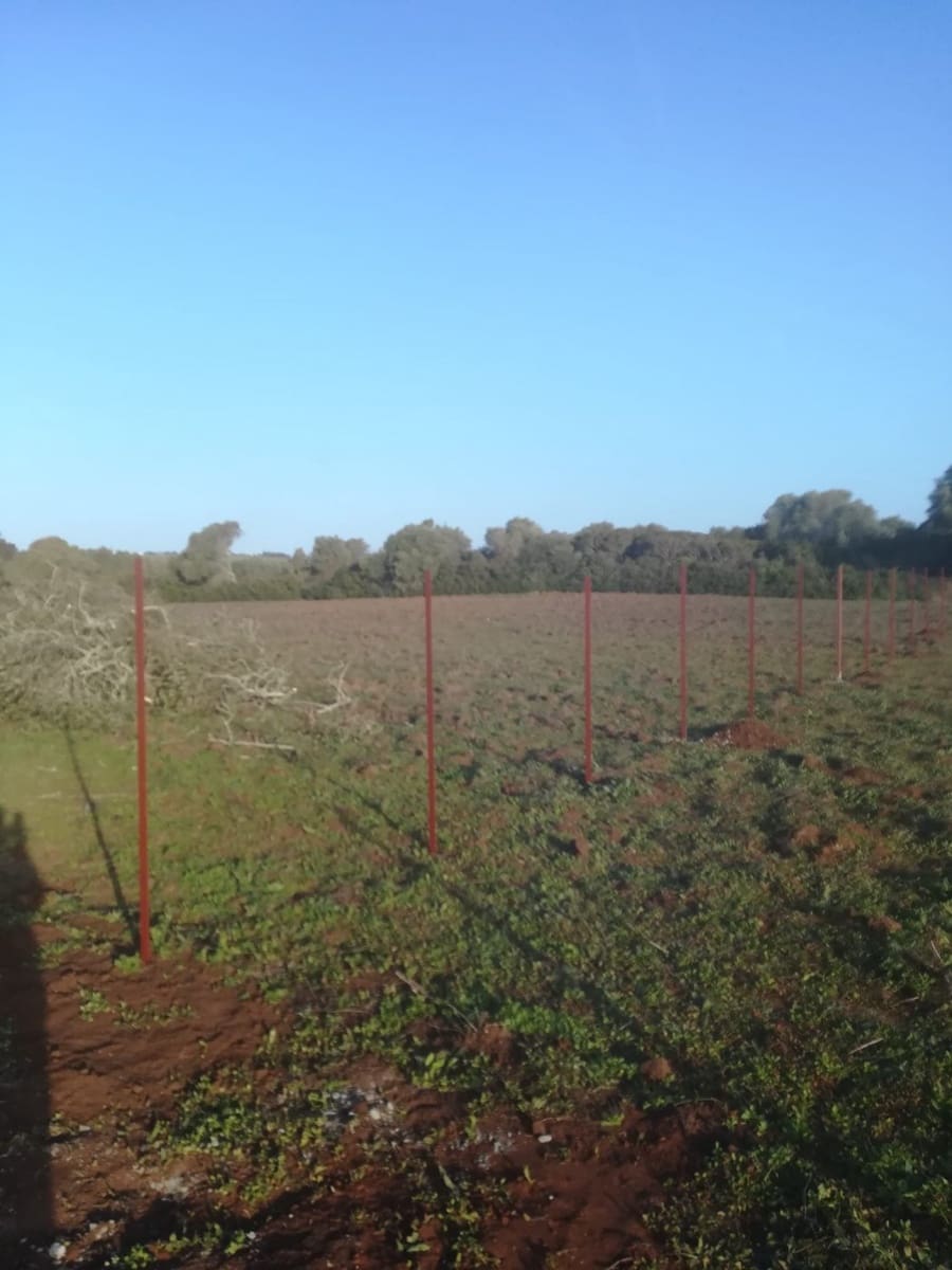 Mark till salu i Vejer de la Frontera - 85 000 € (Ref: 6609201)