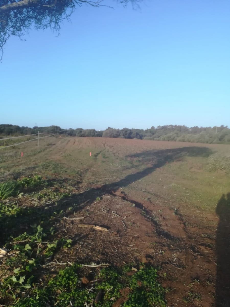 Mark till salu i Vejer de la Frontera - 85 000 € (Ref: 6609201)