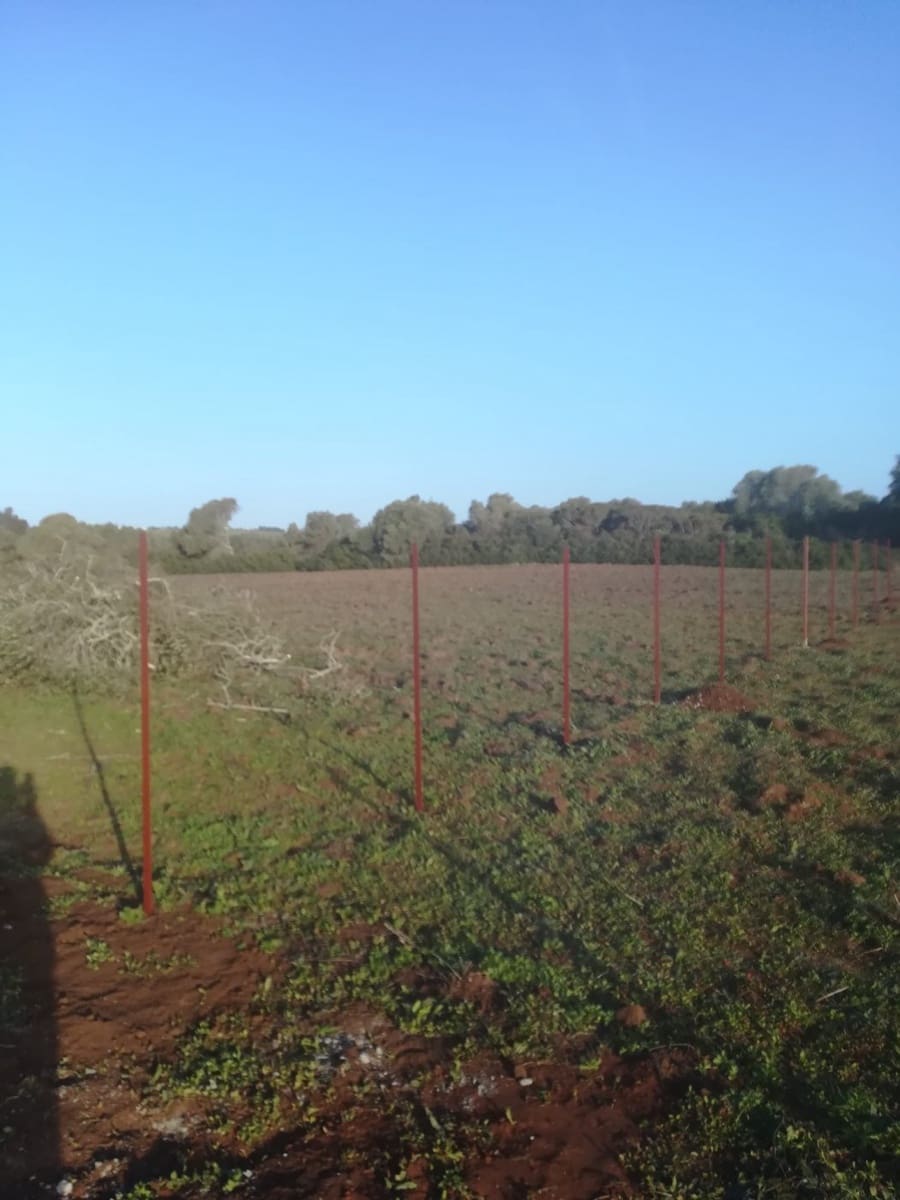 Mark till salu i Vejer de la Frontera - 85 000 € (Ref: 6609201)