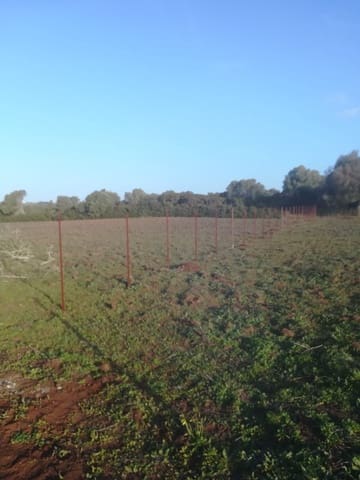 Undeveloped Land for sale in Vejer de la Frontera - € 85,000 (Ref: 6609201)