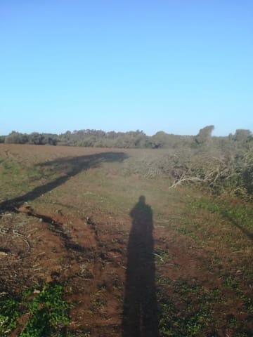 Undeveloped Land for sale in Vejer de la Frontera - € 85,000 (Ref: 6609201)