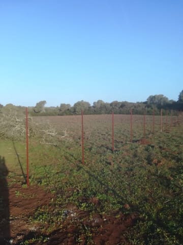 Undeveloped Land for sale in Vejer de la Frontera - € 85,000 (Ref: 6609201)