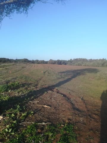 Undeveloped Land for sale in Vejer de la Frontera - € 85,000 (Ref: 6609201)