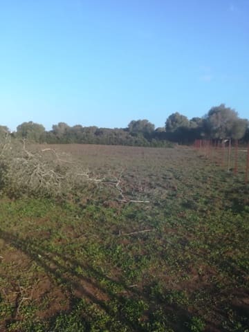 Undeveloped Land for sale in Vejer de la Frontera - € 85,000 (Ref: 6609201)