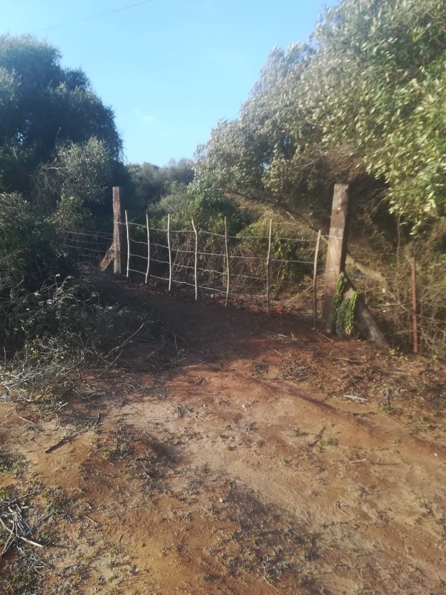 Mark till salu i Vejer de la Frontera - 85 000 € (Ref: 6609201)