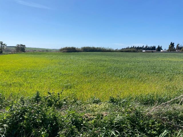 Ubebygd land til salgs i Conil de la Frontera - € 280 000 (Ref: 6694432)