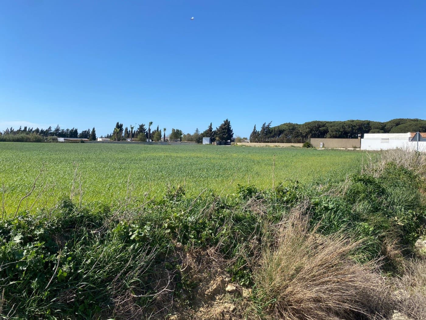 Mark till salu i Conil de la Frontera - 280 000 € (Ref: 6694432)