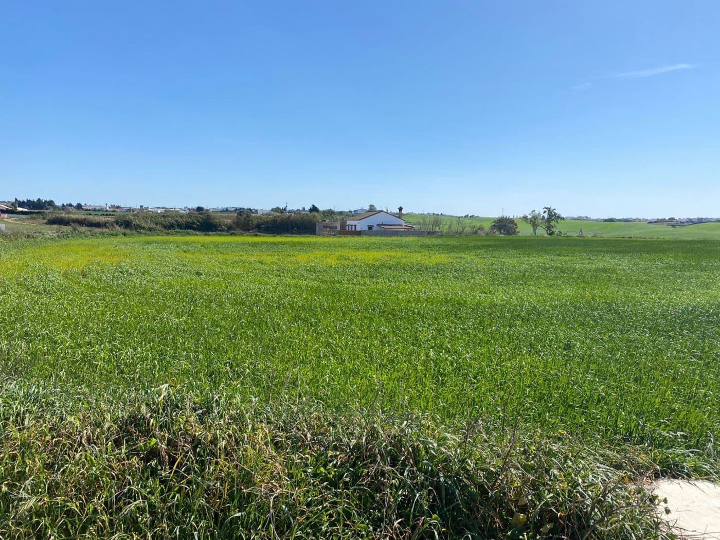 Mark till salu i Conil de la Frontera - 280 000 € (Ref: 6694432)