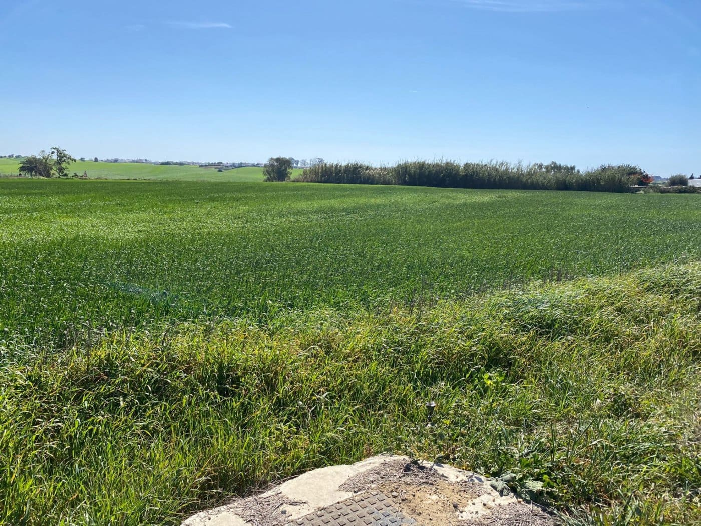 Mark till salu i Conil de la Frontera - 280 000 € (Ref: 6694432)