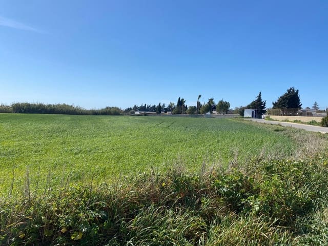 Ubebygd land til salgs i Conil de la Frontera - € 280 000 (Ref: 6694432)