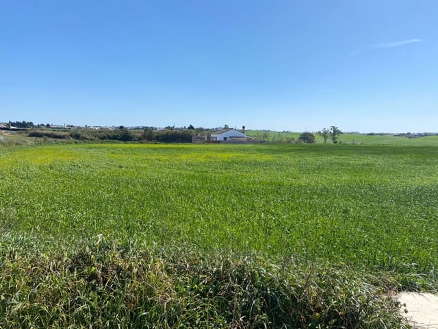 Ubebygd land til salgs i Conil de la Frontera - € 280 000 (Ref: 6694432)