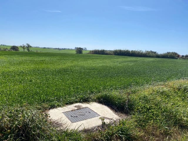 Ubebygd land til salgs i Conil de la Frontera - € 280 000 (Ref: 6694432)