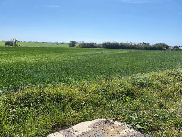 Ubebygd land til salgs i Conil de la Frontera - € 280 000 (Ref: 6694432)