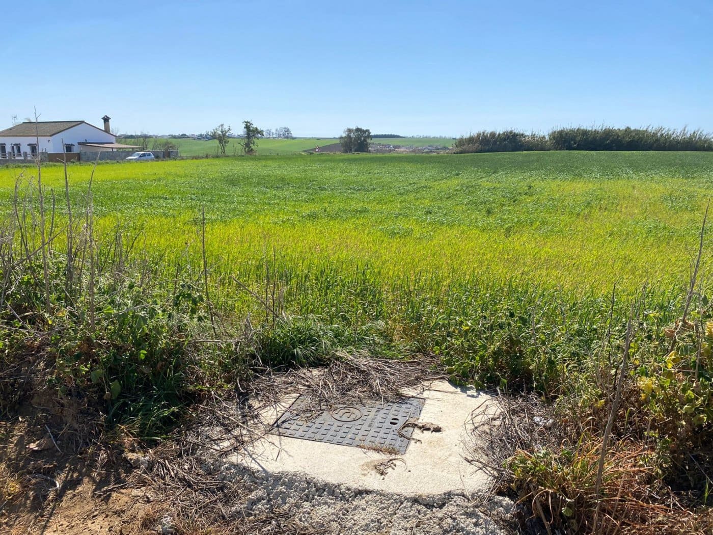 Mark till salu i Conil de la Frontera - 280 000 € (Ref: 6694432)