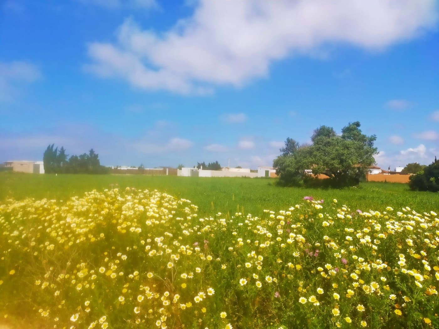 Byggegrund til salg i Conil de la Frontera - € 92.000 (Ref: 6807790)