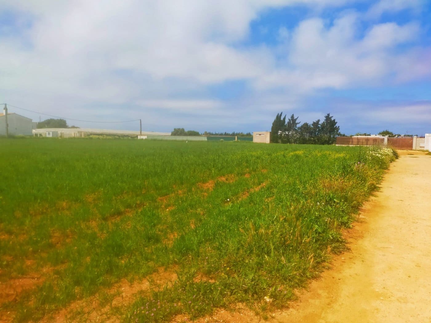 Byggegrund til salg i Conil de la Frontera - € 92.000 (Ref: 6807790)