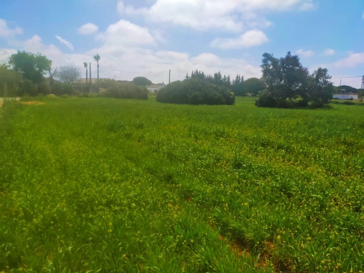 Byggegrund til salg i Conil de la Frontera - € 92.000 (Ref: 6807790)