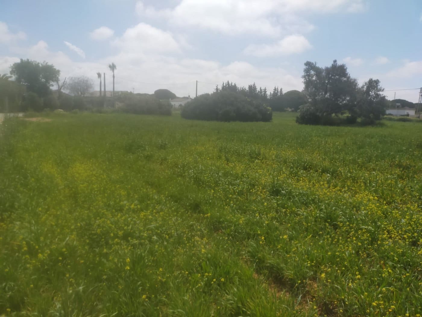 Byggegrund til salg i Conil de la Frontera - € 92.000 (Ref: 6807790)