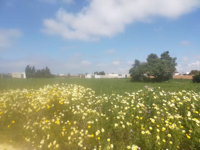 Terreno para Construção para venda em Conil de la Frontera - 92 000 € (Ref: 6807790)