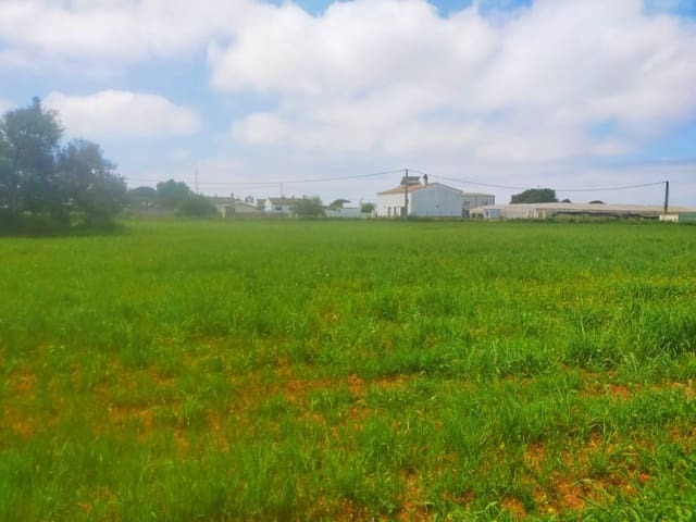 Terreno para Construção para venda em Conil de la Frontera - 92 000 € (Ref: 6807790)