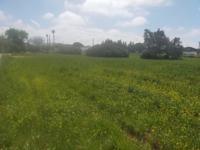 Terreno para Construção para venda em Conil de la Frontera - 92 000 € (Ref: 6807790)