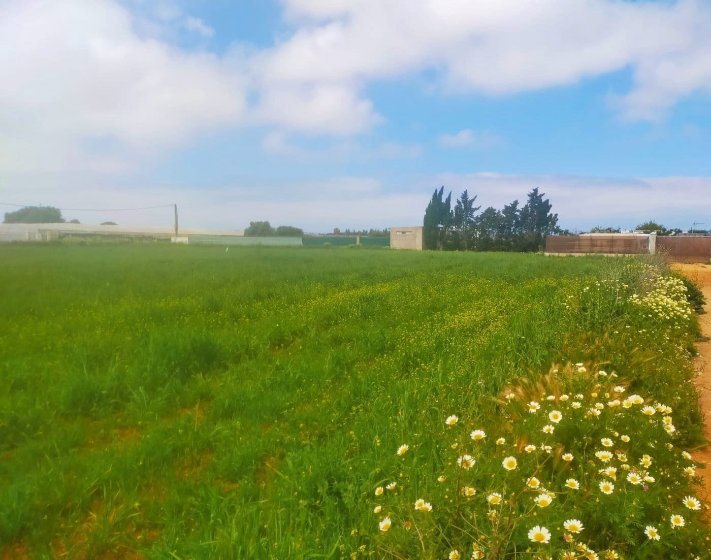 Byggegrund til salg i Conil de la Frontera - € 92.000 (Ref: 6807790)