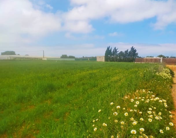 Terreno para Construção para venda em Conil de la Frontera - 92 000 € (Ref: 6807790)