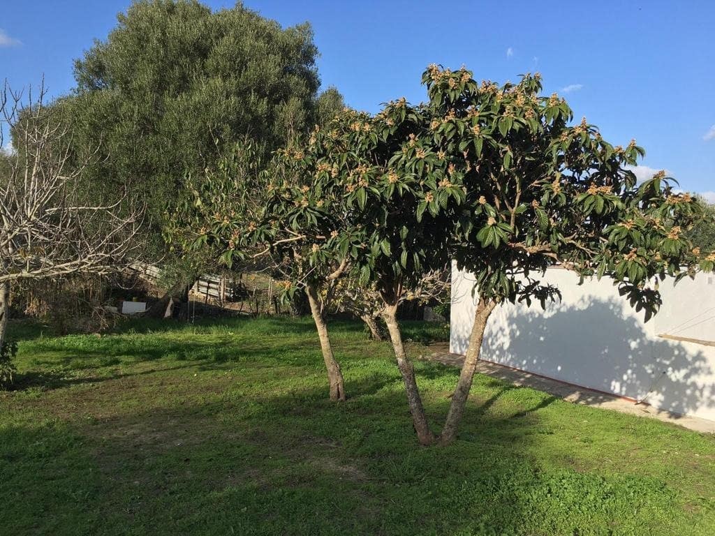 1 soveværelse Finca/Landehus til salg i Vejer de la Frontera - € 210.000 (Ref: 6826235)