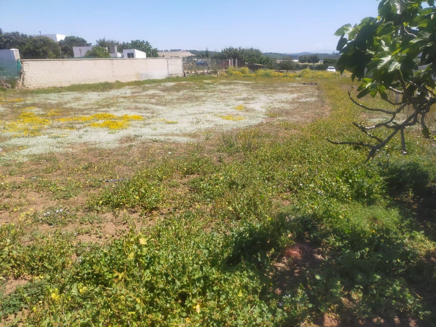 Byggetomt til salgs i Conil de la Frontera - € 72 000 (Ref: 6837998)