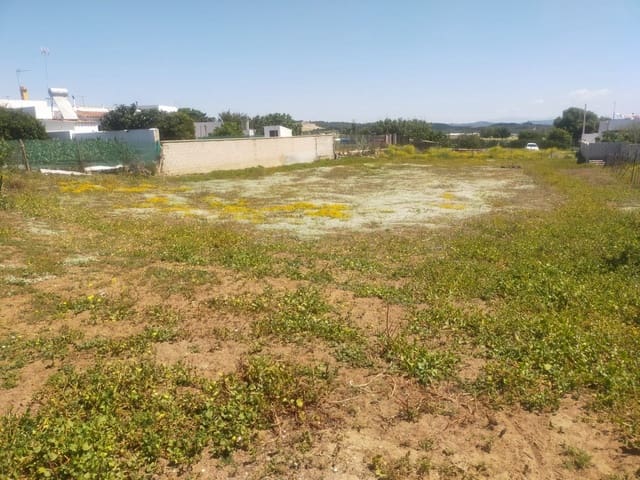 Terreno para Construção para venda em Conil de la Frontera - 72 000 € (Ref: 6837998)