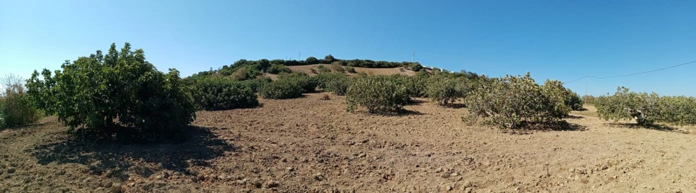 Grunde uden byggetilladelser til salg i Medina-Sidonia - € 190.000 (Ref: 6919871)