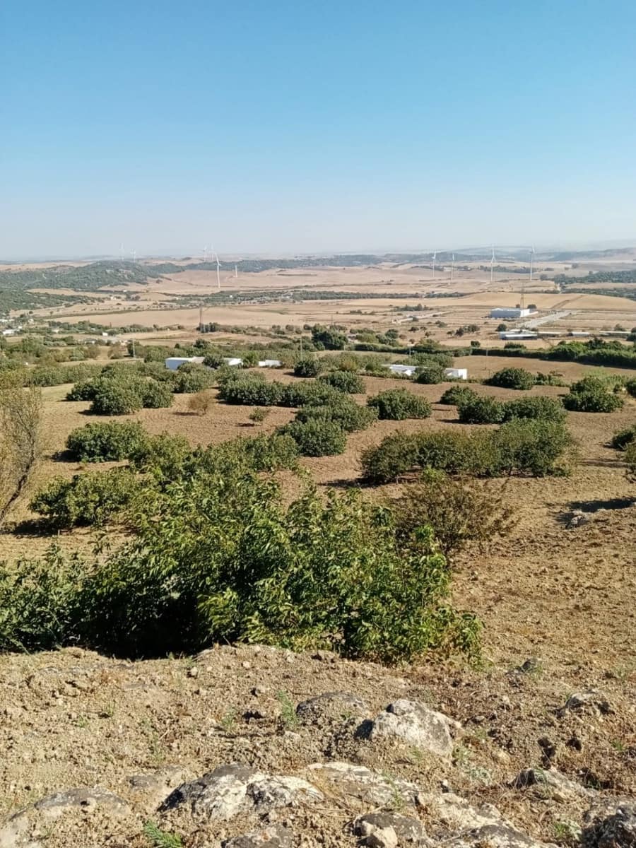 Grunde uden byggetilladelser til salg i Medina-Sidonia - € 190.000 (Ref: 6919871)