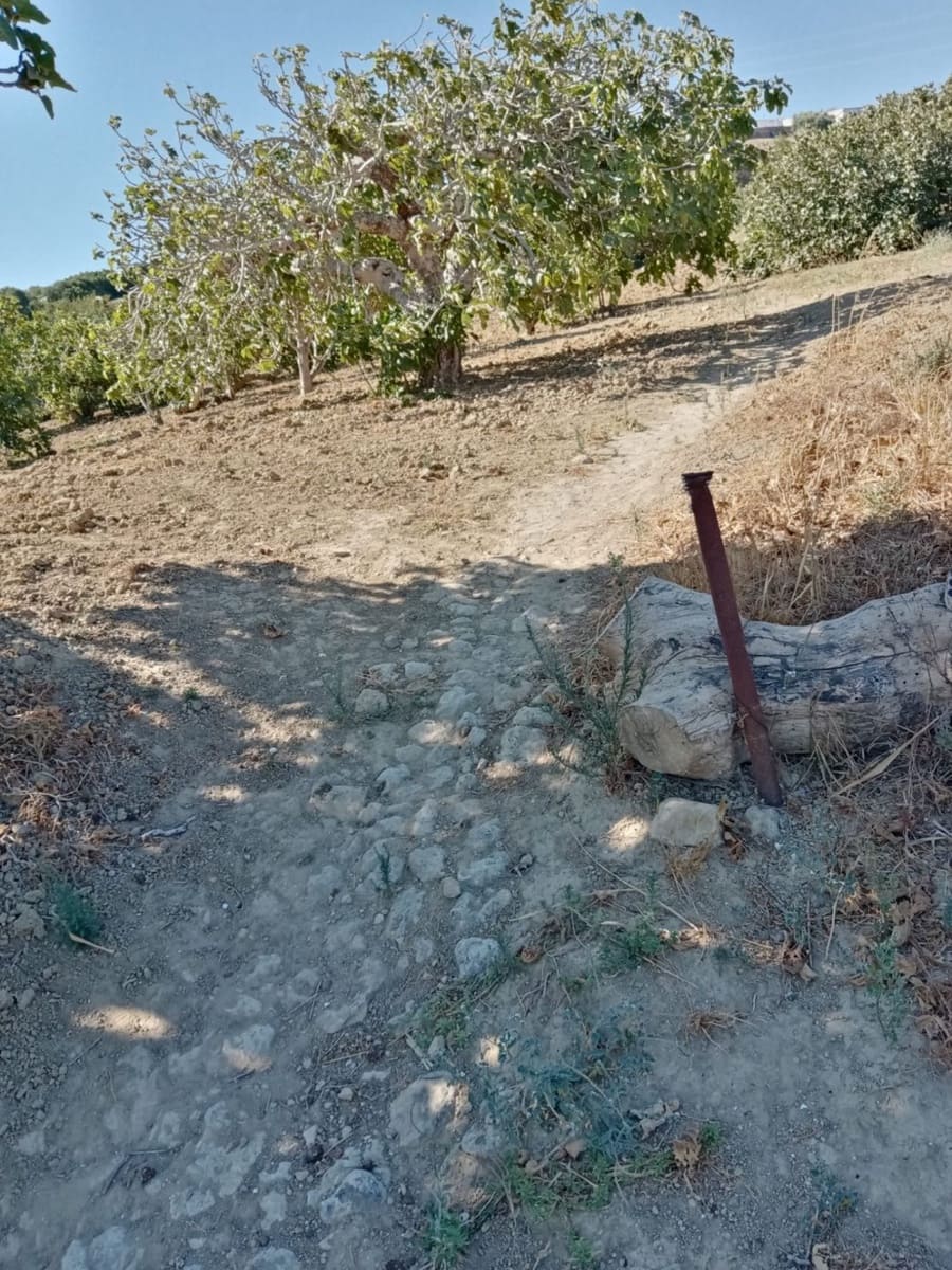 Grunde uden byggetilladelser til salg i Medina-Sidonia - € 190.000 (Ref: 6919871)