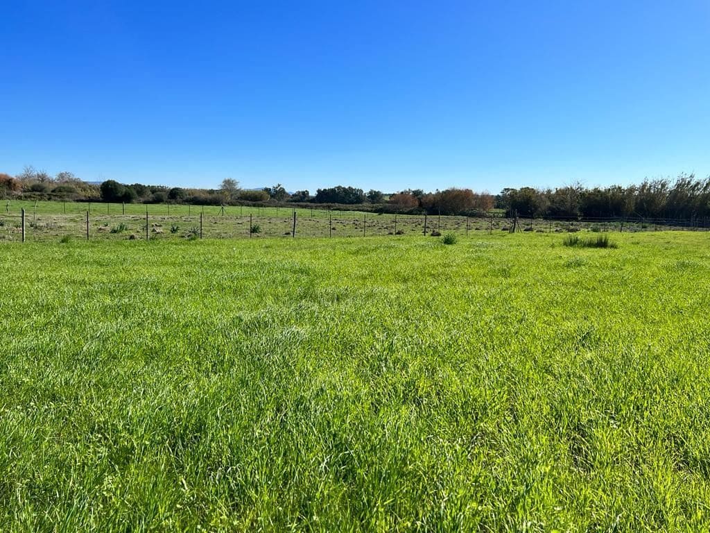 Grunde uden byggetilladelser til salg i Vejer de la Frontera - € 50.000 (Ref: 6928054)