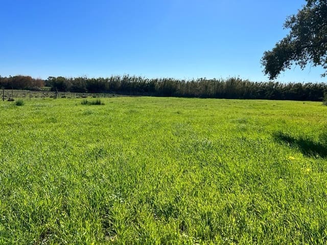 Mark till salu i Vejer de la Frontera - 50 000 € (Ref: 6928054)