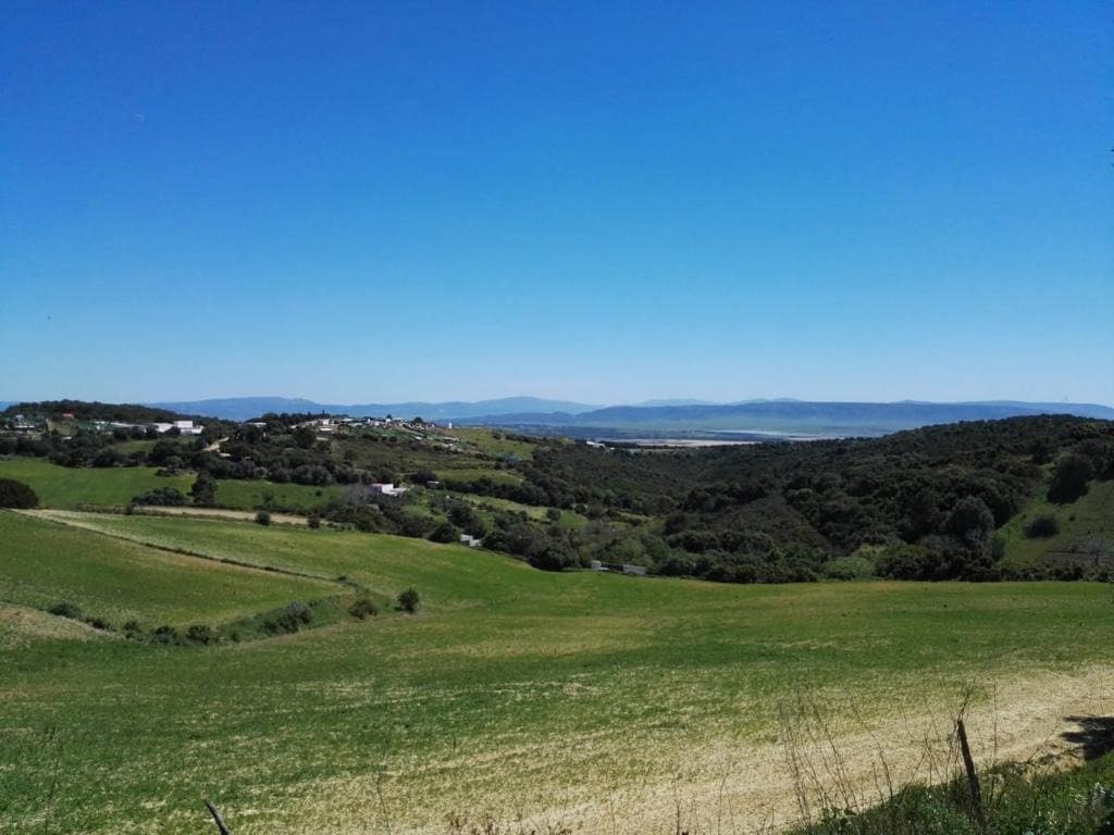 3 soveværelse Finca/Landehus til salg i Vejer de la Frontera - € 510.000 (Ref: 6978682)