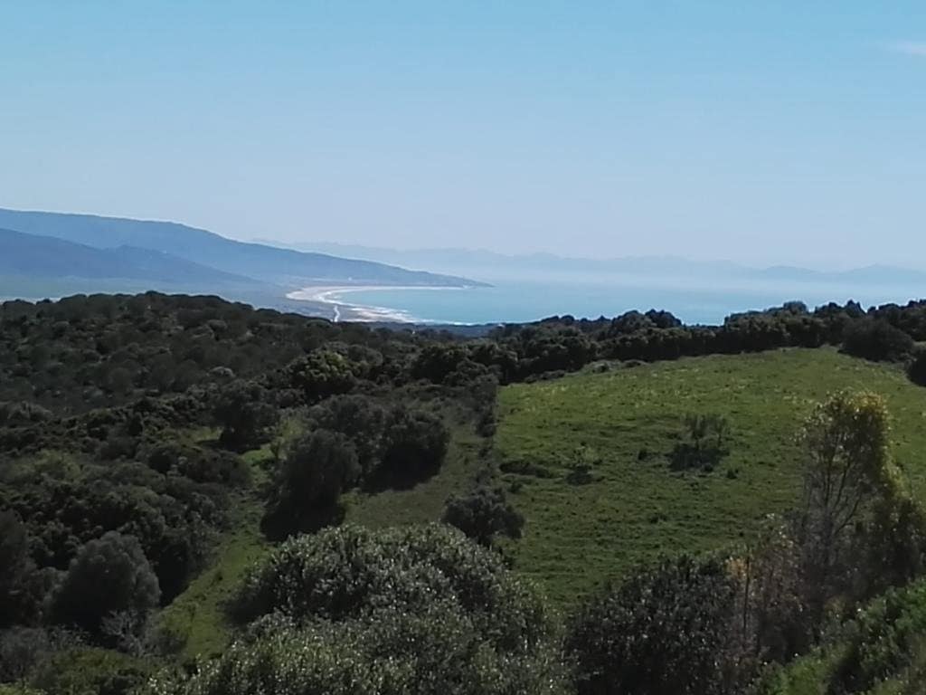 3 soveværelse Finca/Landehus til salg i Vejer de la Frontera - € 510.000 (Ref: 6978682)