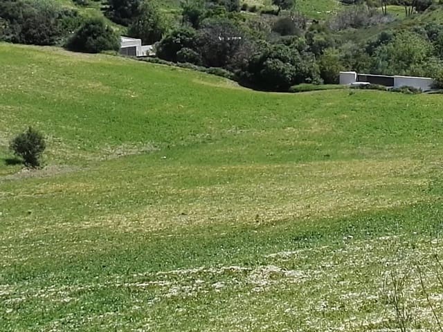 3 soverom Finca/Herregård til salgs i Vejer de la Frontera - € 510 000 (Ref: 6978682)