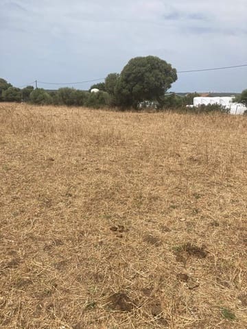 Finca/Maison de Campagne à vendre à Manzanete, Barbate - 500 000 € (Ref: 7000805)