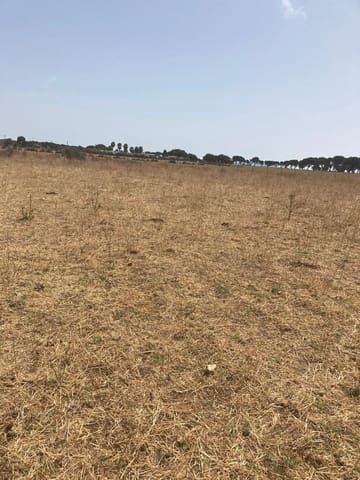 Finca/Maison de Campagne à vendre à Manzanete, Barbate - 500 000 € (Ref: 7000805)