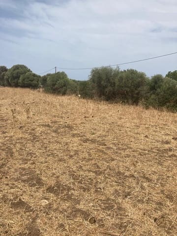 Finca/Maison de Campagne à vendre à Manzanete, Barbate - 500 000 € (Ref: 7000805)