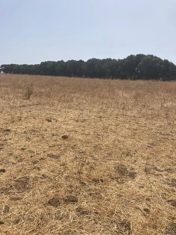 Finca/Maison de Campagne à vendre à Manzanete, Barbate - 500 000 € (Ref: 7000805)